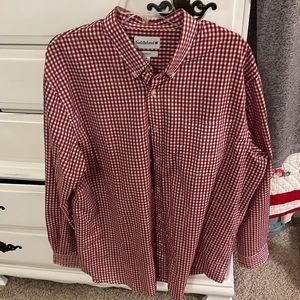 Saddlebred Button Up